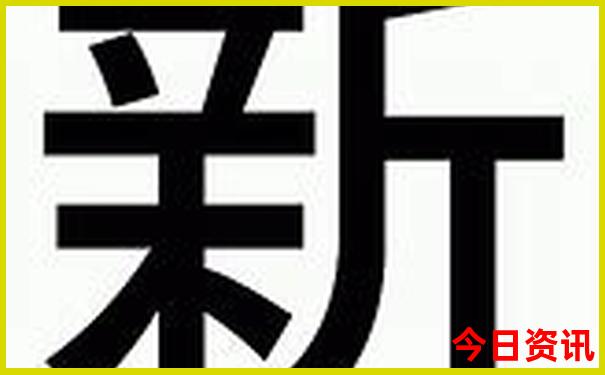 一片一片又一片打一肖